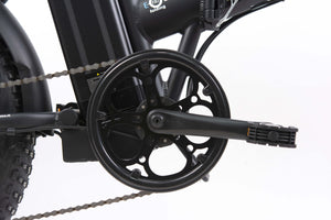 F.LLI SCHIANO E-BOSS  20'' E-bike , Bicicletta elettrica Pieghevole Unisex Adulto con Motore 250W e 7 velocitÃ , Batte