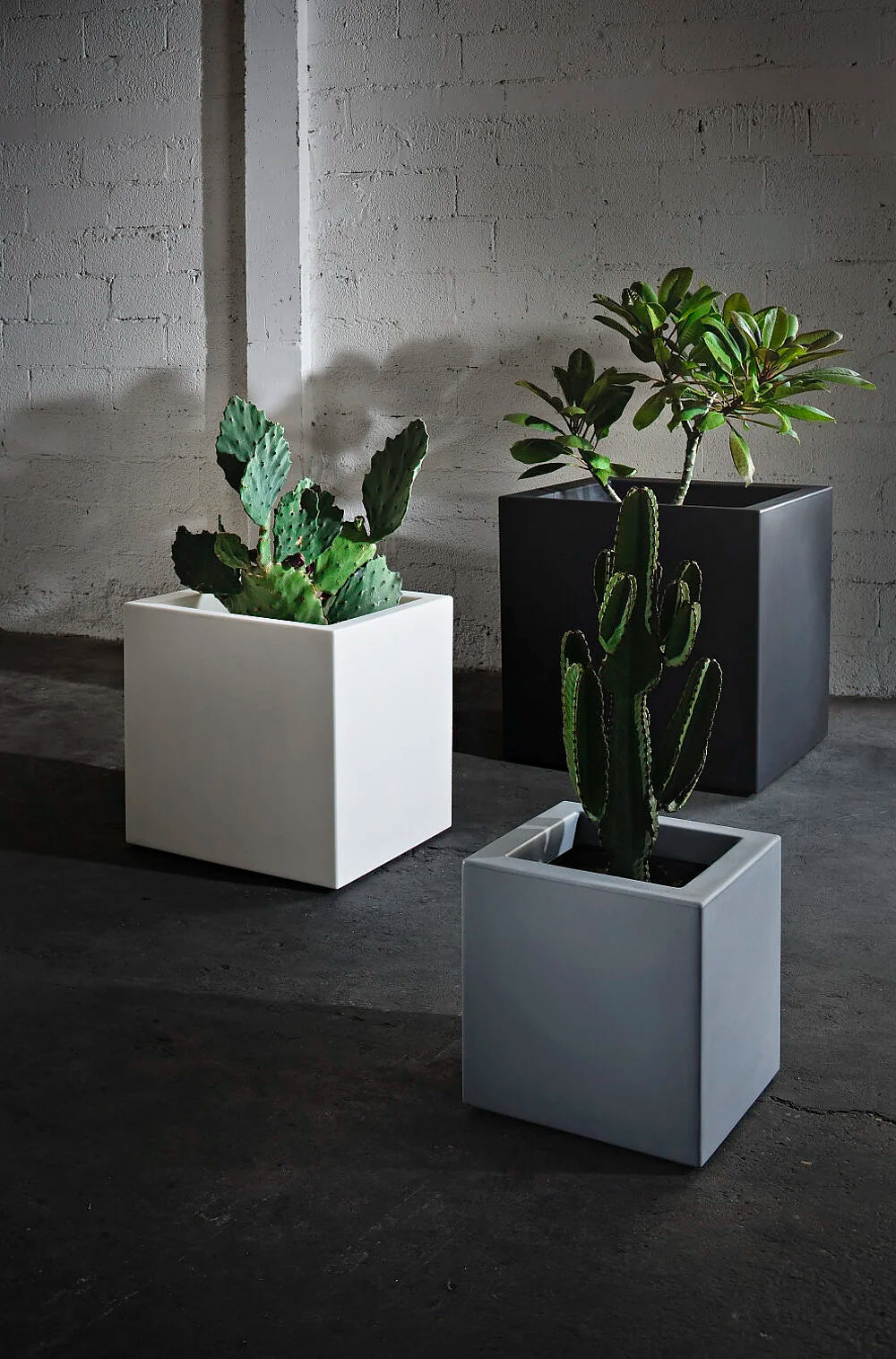 Vaso quadrato Cubo Fenice in resina da 65cm Bianco