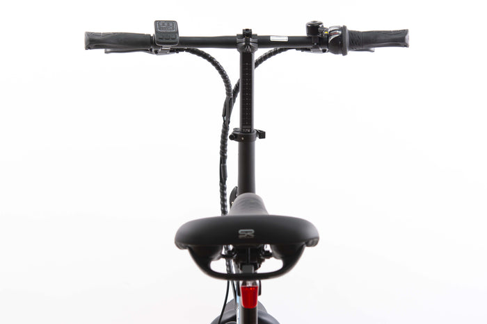 F.LLI SCHIANO E-BOSS  20'' E-bike , Bicicletta elettrica Pieghevole Unisex Adulto con Motore 250W e 7 velocitÃ , Batte