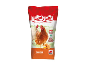 Mangime Ovomio sbriciolato galline ovaiole Mignini e Petrini sacco 10kg 25kg - 10 Kg