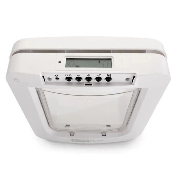 lembo Microchip cat