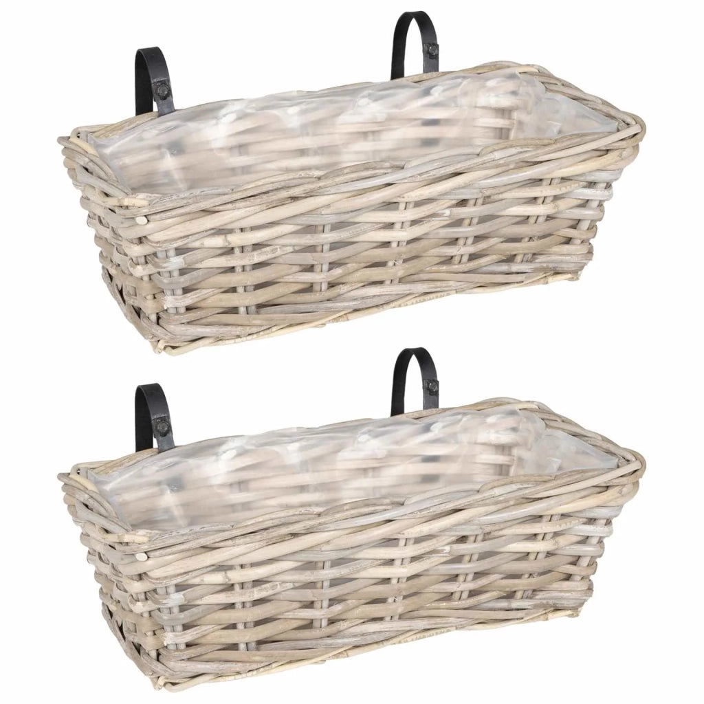 Cestino Appendibile per Piante 2 pz Grigio 48 x 22 x 15 cm CFW8720116