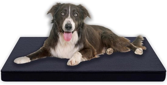 Cuscino per cani premium ortopedico - 80x60 cm - 3 cm spugna - lavabile a 40°C - fondo antiscivolo - ipoallergenico - letto per cani