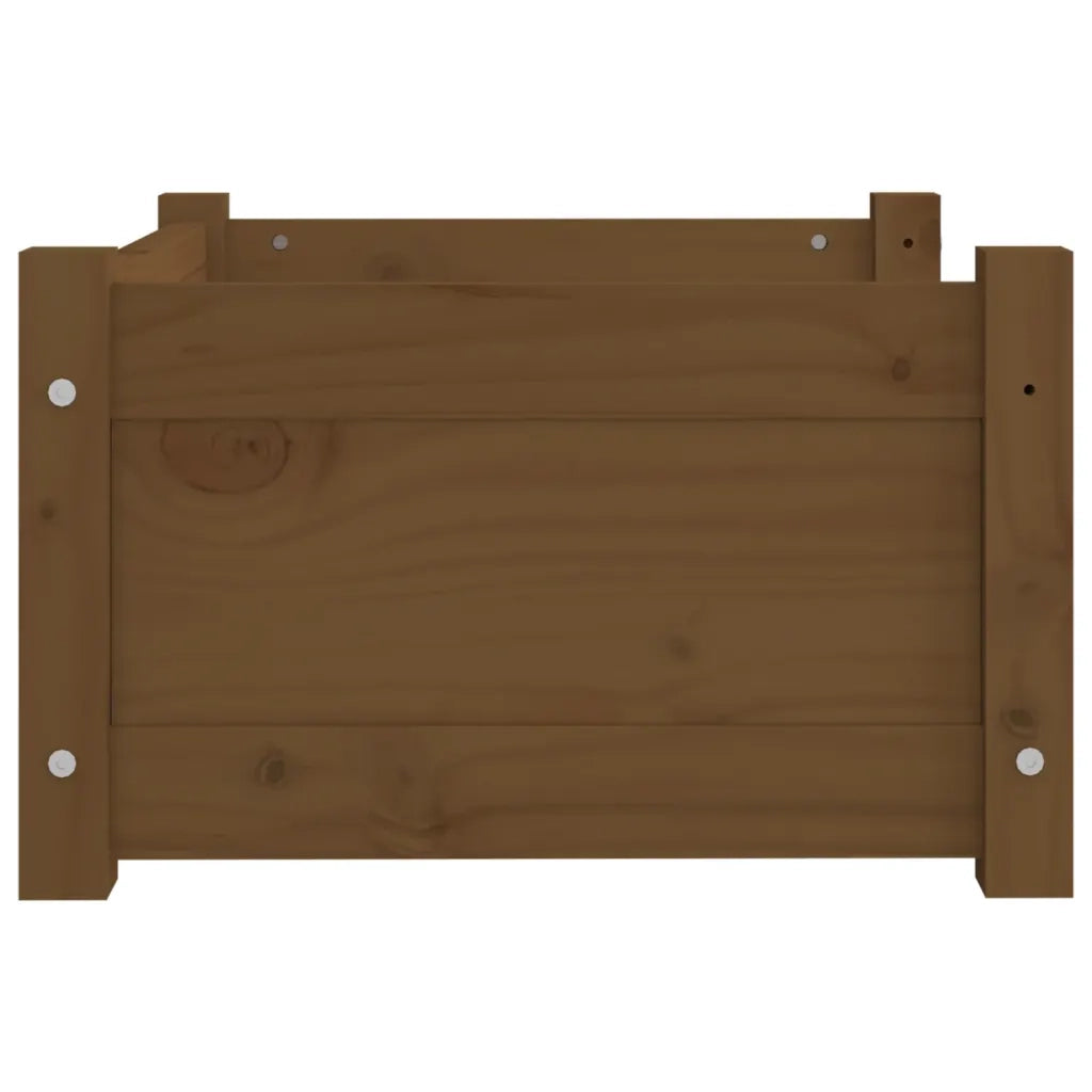 Cuccia per Cani Ambra 55,5x45,5x28 cm Legno Massello di Pino CFW3815526