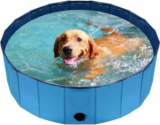 Piscina per Cani - Piscina per Cane - Bagno per Cani - Piscina per Cane - Bagno per Animali - Bagno per Animali - Piscina per Cani - Raffreddamento per Cani