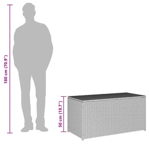 Baule da Giardino in Polyrattan 100x50x50 cm Marrone 46472