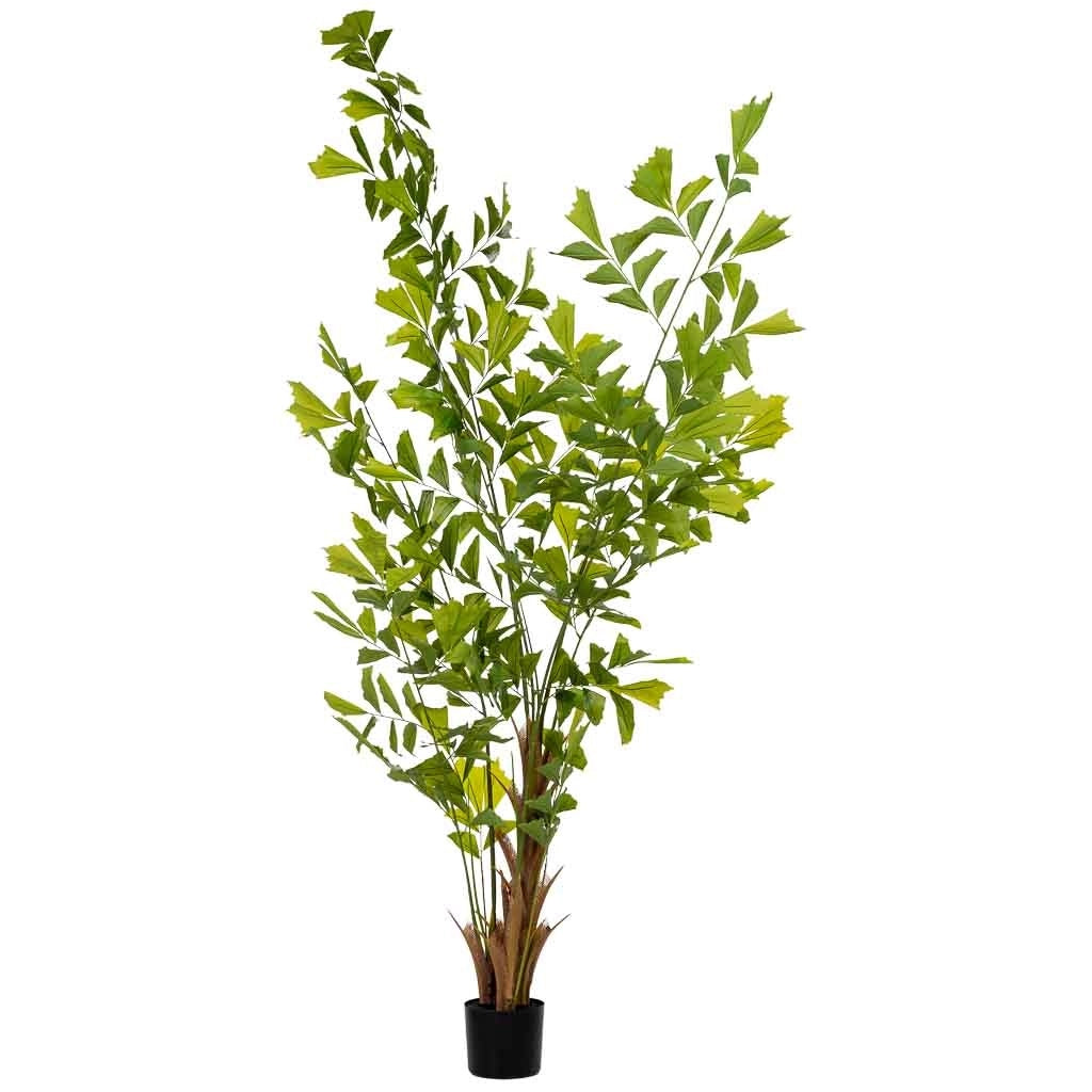 Artificiale decorativo Caryota ochlandra verde 90x70x250