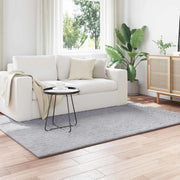 Tappeti per area SIROLO Grigio 200 x 140 cm Poliestere