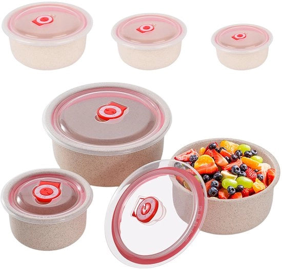 Set di 3 piastre per magnetron con coperchi: piastre per magnetron, contenitori alimentari 260/480/900 ml, piastre per magnetron con diverse vaschette per lavastoviglie, forno a microonde, forno a convezione (abacchio)
