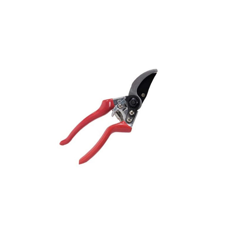 Forbice da Pota Professionale 20 cm Brixo