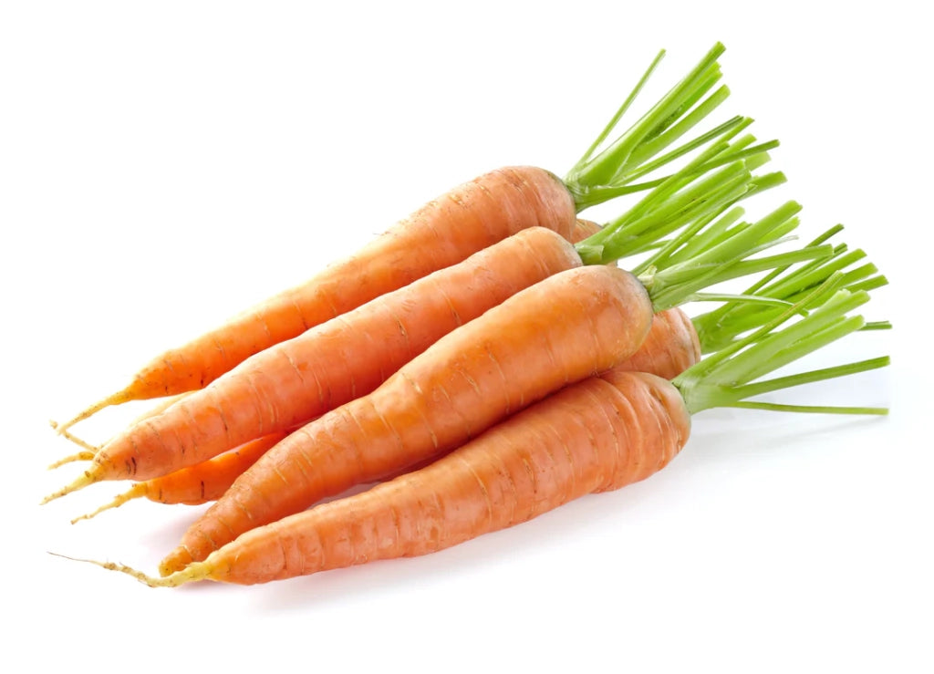 SEMI PER ORTAGGI E VEGETALI carota lunga nantese 2 - 20 pezzi  - SGARAVATTI