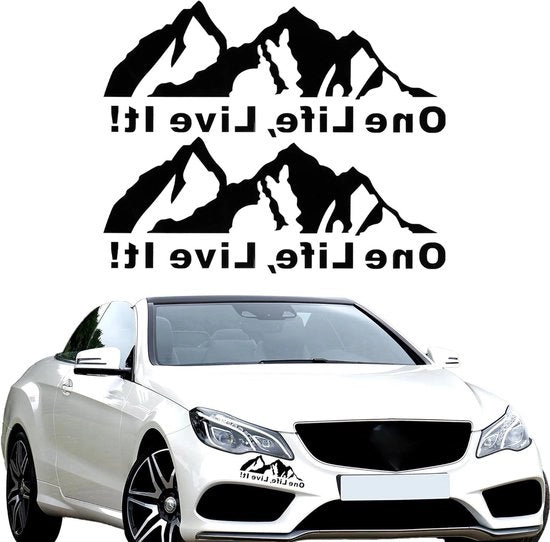 Sticker auto per van omboscio 20 x 8 cm per auto bagagliaio furgone autocarro 2 pezzi (nero)