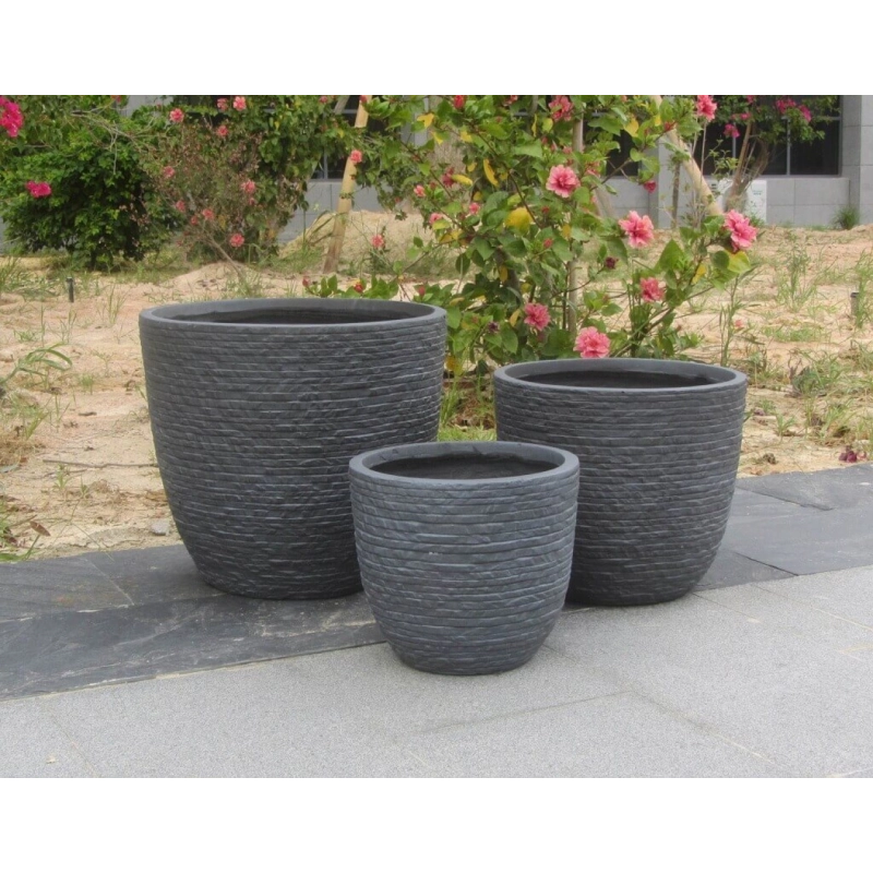 SET VASI CICLAMINO