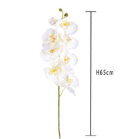 Set 8 Phalaenopsis Artificiali con 8 Fiori Altezza 65 cm Bianco
