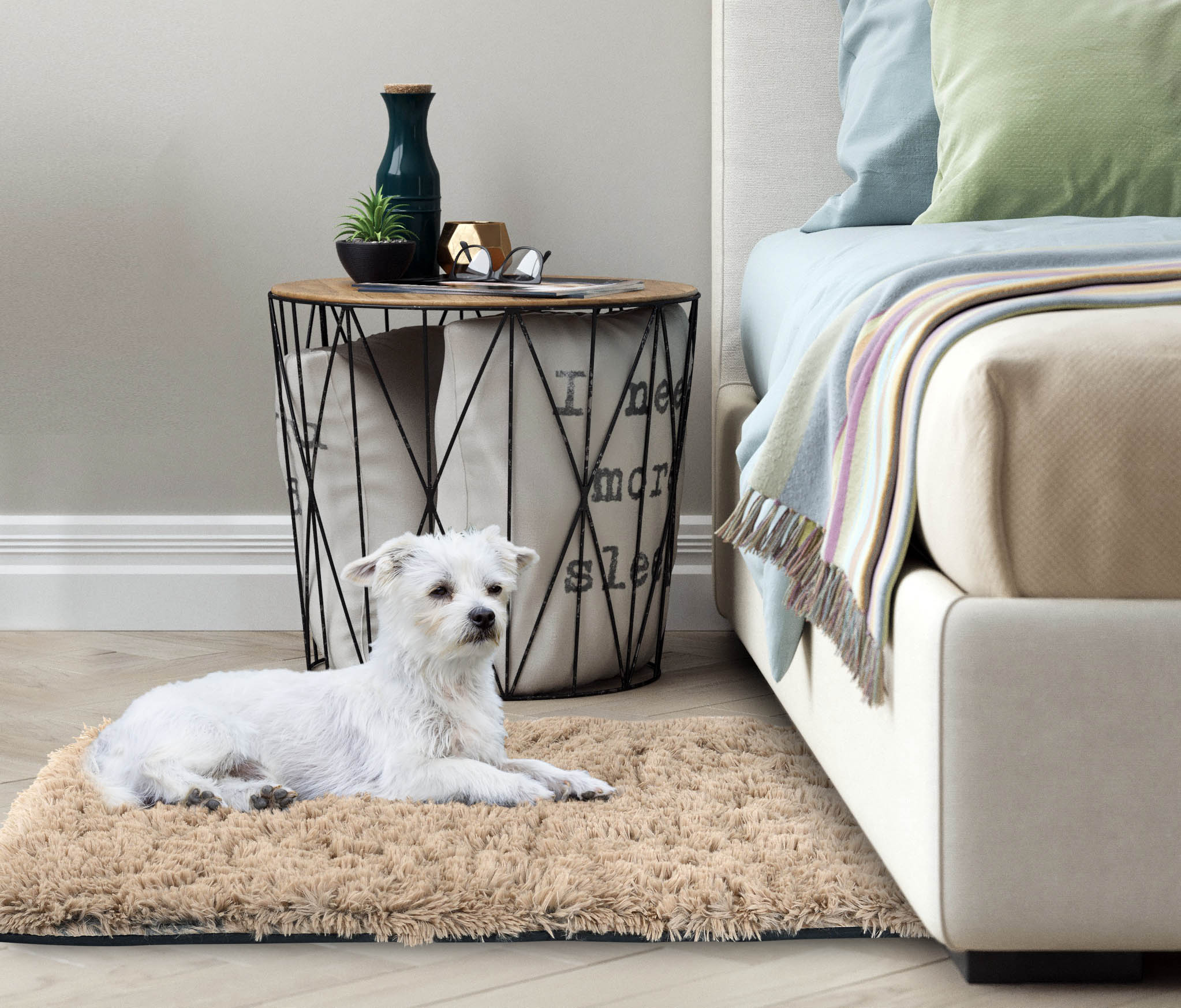 AIO FACTORY 80x120 cm TAPPETO PELOSO ANTISCIVOLO Beige - Tappeto morbido per la casa