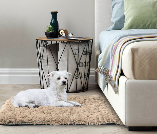 AIO FACTORY 80x120 cm TAPPETO PELOSO ANTISCIVOLO Beige - Tappeto morbido per la casa
