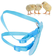 Gabbia per anatra e gallina adattabile - Cinturino per anatra - Blu S - Gabbia per animali domestici - Adatto per anatre e galline