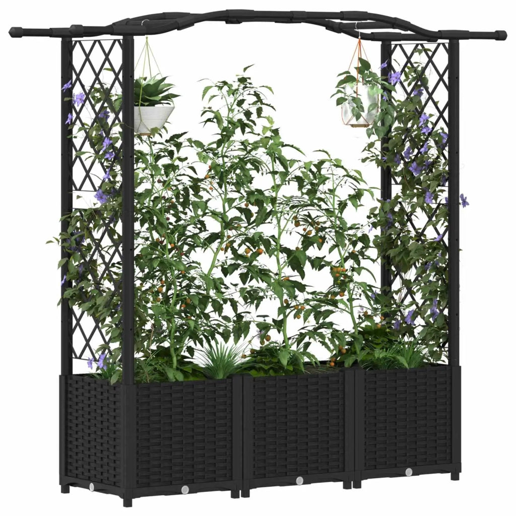 Letto Rialzato con Griglia e Tetto Nero 164 x 40 x 142 cm PP 42032531