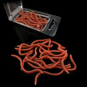 Set di Lure per Pesci - 20 Pezzi - Confezione di Aste in Plastica - Forma di Vermicello - Lunghezza 8CM - Materiale Ecologico