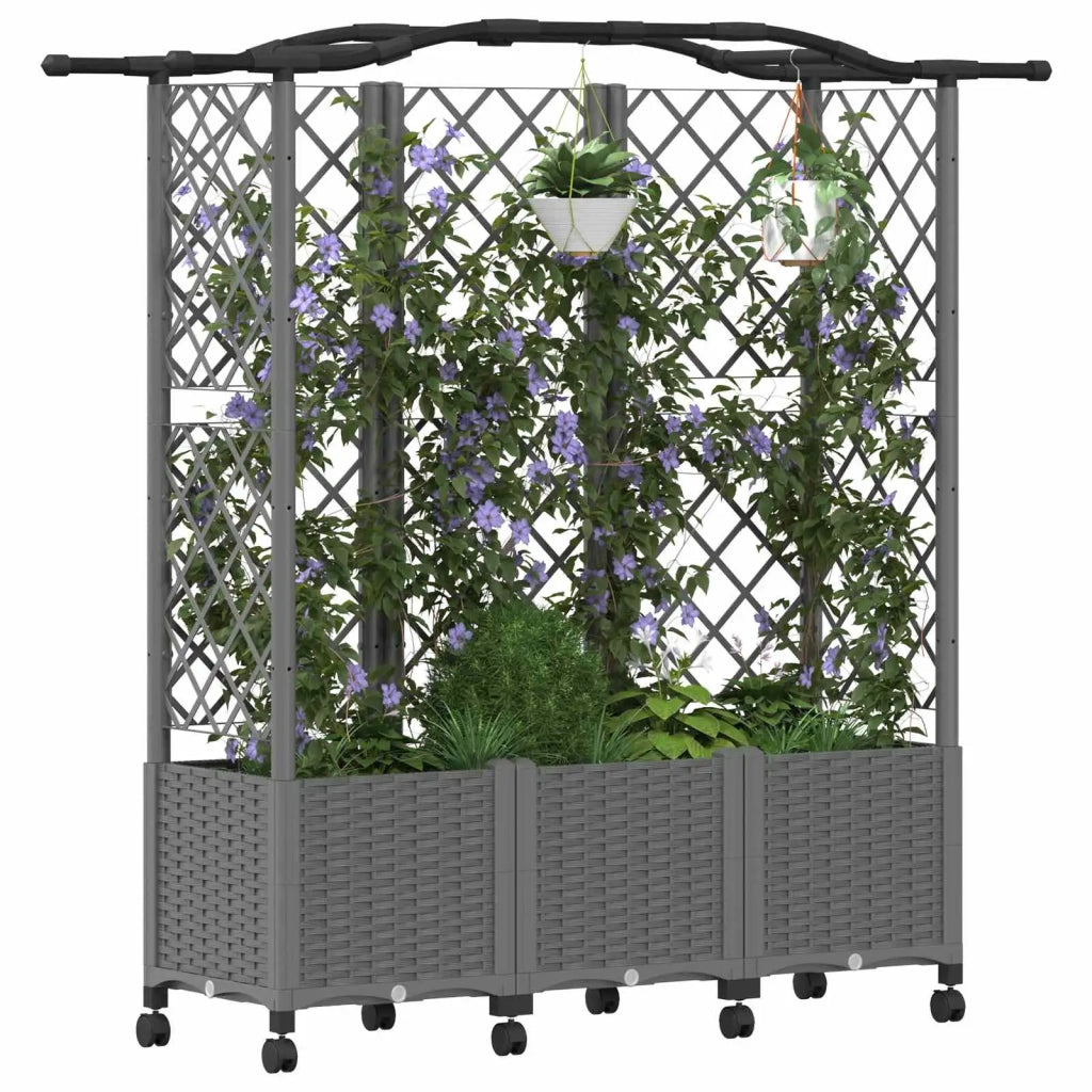 Letto Rialzato con Griglia e Tetto Grigio Chiaro PP 3423111