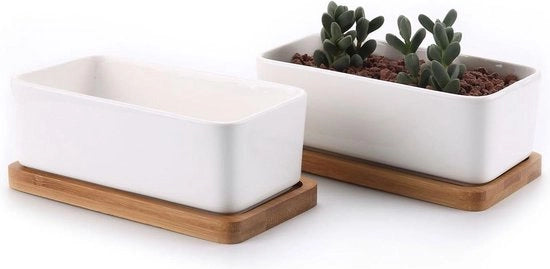 Set di vasi per piante succulente da 2 - 165CM vaso ceramico per piante grasse - sottopiede in bambù - vaso per cactus interno con foro di drenaggio - bianco per l'aloe saporita - vaso decorativo per regalo