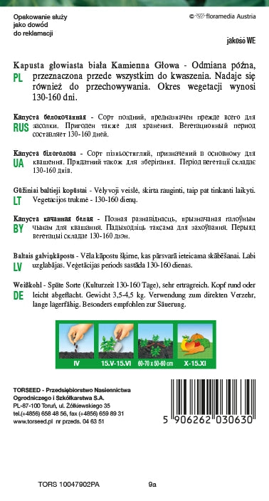 Cavolo cappuccio bianco Kamienna Głowa 2g