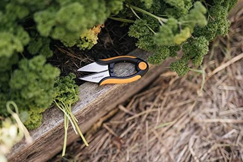 Forbici per Erbe Aromatiche Solid SP220 Fiskars 13 cm