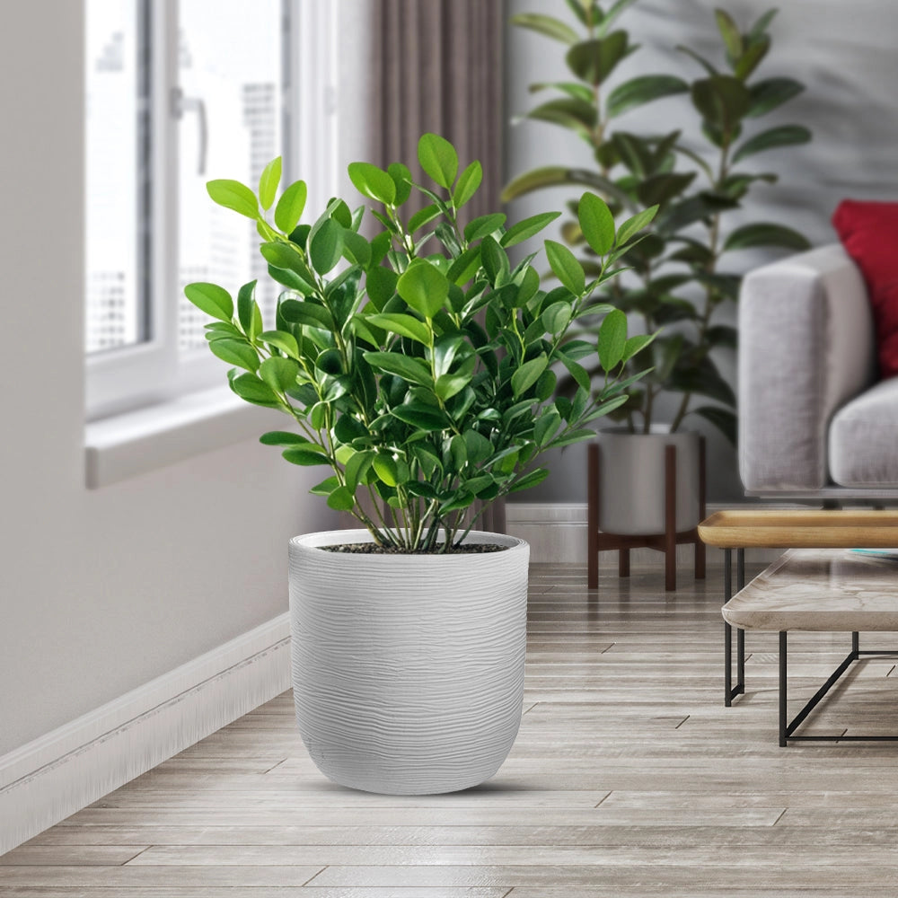 Vaso da Esterno Interno Design Cilindrico Ø35x34 cm Raffaello in Resina Bianco