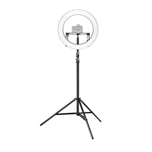 Ring light a LED 500 Bi-Color dimmerabile con treppiedi fotografico, Luce ad anello da 32W per foto e video con settori commutabili e accessori