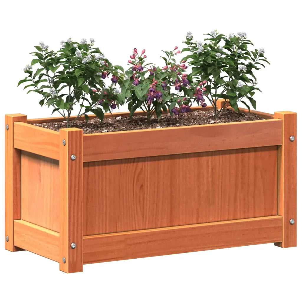 Fioriere da Giardino 2pz Marrone Cera Legno Massello di Pino 837444