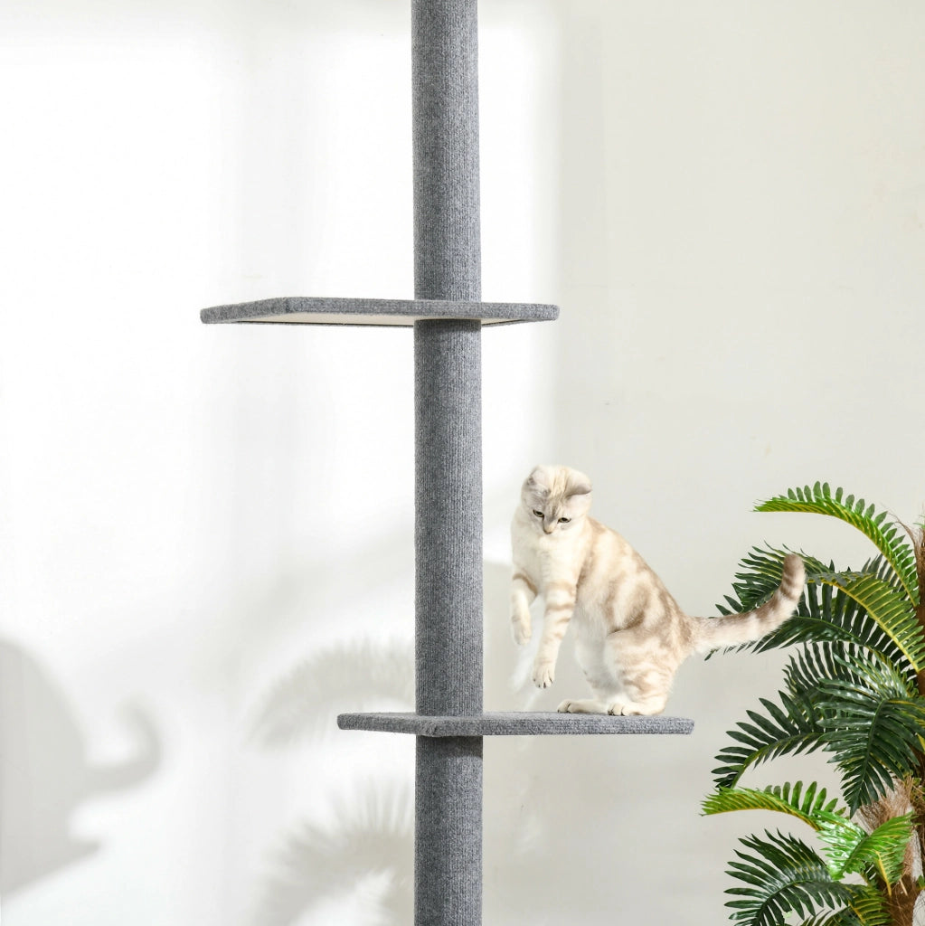 Tiragraffi regolabile da pavimento a soffitto 228-260 cm grigio