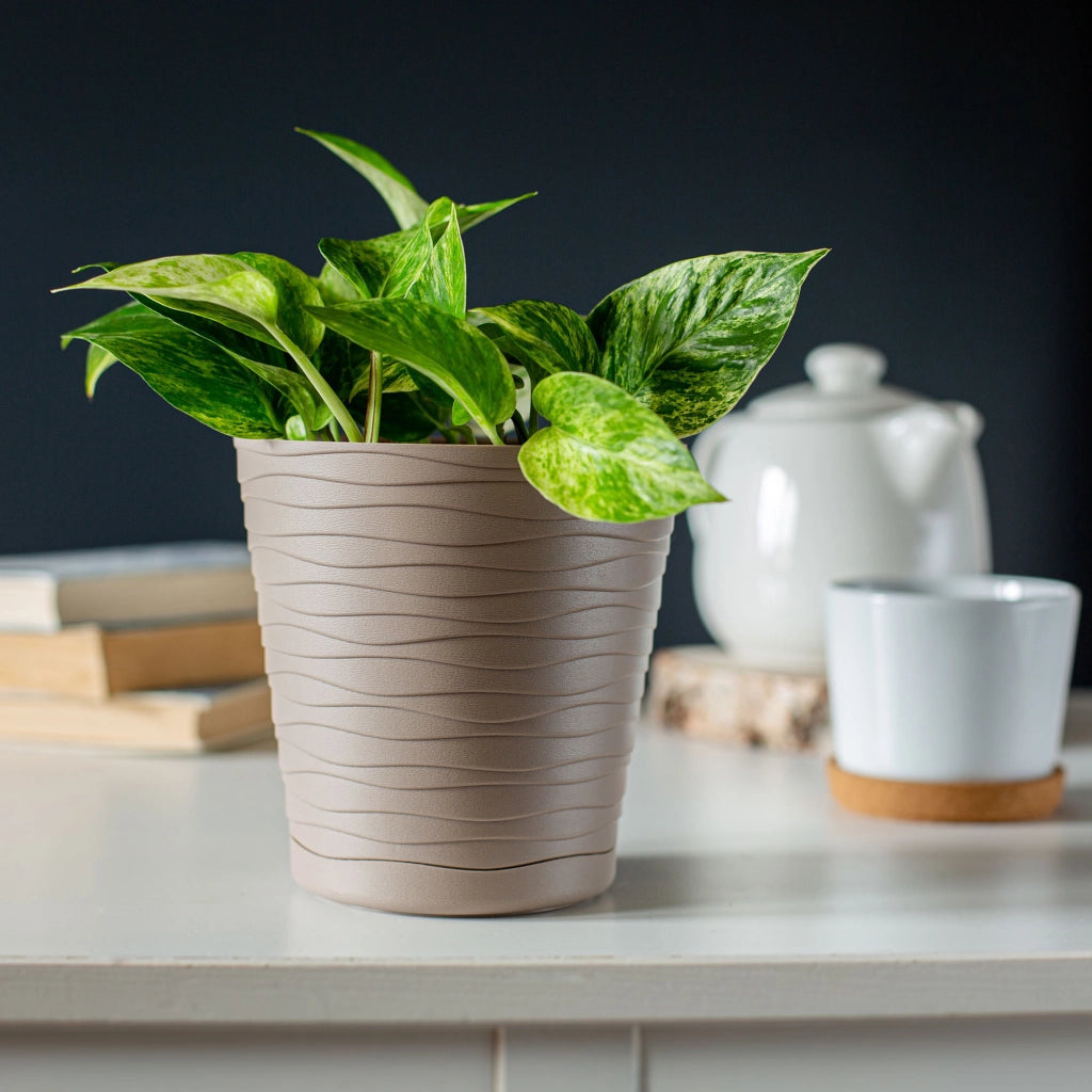 Vaso da fiori KADAX da 30 cm, con coperchio in plastica e supporto.