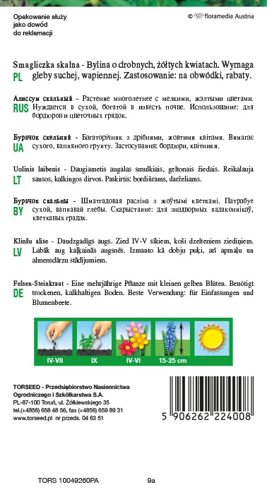 Cenere di roccia - Alyssum saxatile giallo 0,5 g