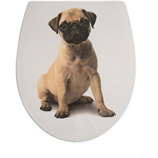 Sanicomfort sedile wc carlino con abbassamento automatico, 1 p