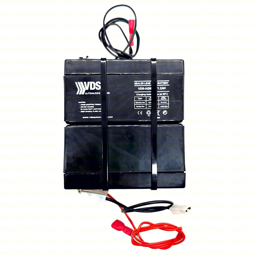 KIT 2 BATTERIE BATTERIA TAMPONE CON CAVI 24 V 2,4 A K024