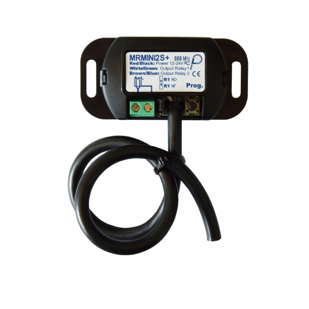 Ricevitore Miniaturizzato 2 Canali 868 Mhz, 1000 Codici Criptati Ip20