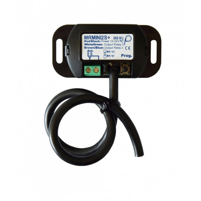 Ricevitore Miniaturizzato 2 Canali 868 Mhz, 1000 Codici Criptati Ip20