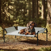 Letto per Cani da Esterno, Elevato, Raffreddato, Lavabile e Robusto con Buona Circolazione dell'Aria, Grigio, S, 88 x 55,5 x 31 cm