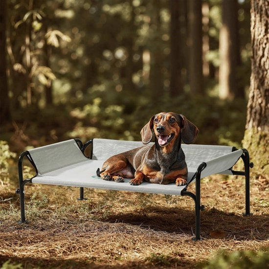 Letto per Cani da Esterno, Elevato, Raffreddato, Lavabile e Robusto con Buona Circolazione dell'Aria, Grigio, S, 88 x 55,5 x 31 cm