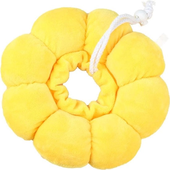 Cintura per gatti - Cintura per gatto - Cintura gatto - Cintura di protezione per gatto - Cintura per gatto chirurgico - Accessorio per gatto