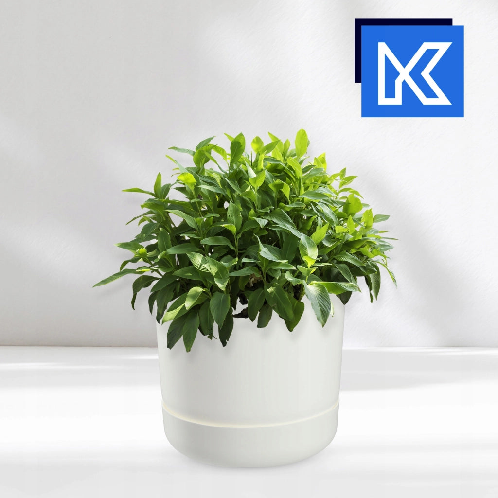 Vaso da fiori KADAX con supporto, coperchio, ciotola rotonda, 15 cm, bianco opaco