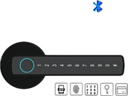 Chiusura elettrica per porta con rilevamento impronta digitale - Chiusura intelligente per porta - Cerniera intelligente con rilevamento impronta digitale - Chiusura elettrica con codice - Smart Lock - Nero