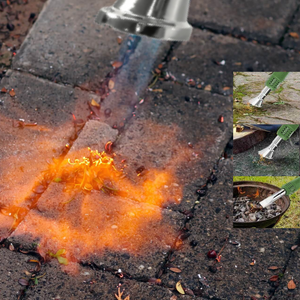 Ecodiserbante Termico 2 in 1 2000W