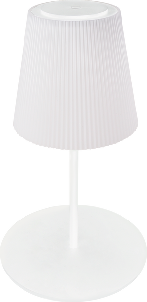 LAMPADA DA TERRA 3W 310LM RICARICABILE CON CAVO USB BIANCA