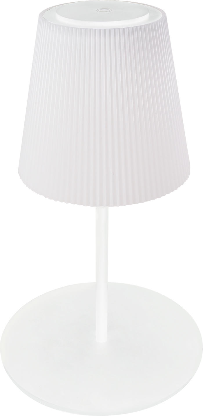 LAMPADA DA TERRA 3W 310LM RICARICABILE CON CAVO USB BIANCA