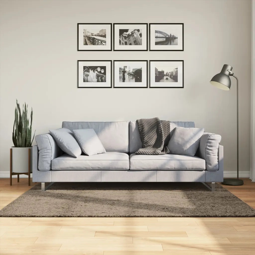 Tappeto a Pelo Lucido Lungo ISTAN Effetto Grigio 120x170 cm 375676