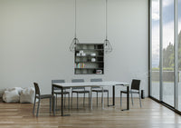 Consolle allungabile 90x40/300 cm Tekno Evolution Bianco Frassino telaio Antracite