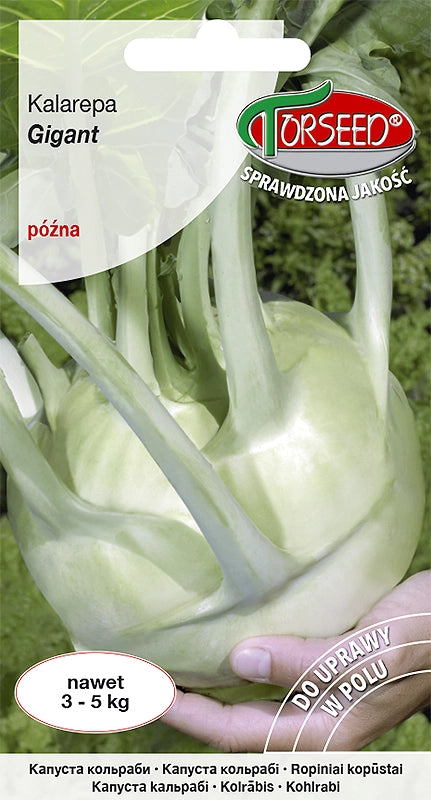 Cavolo rapa gigante 1g