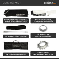 Essential Striplight Softbox 30x120cm + adattatore softbox per Hensel Expert, ruotabile a 360°, griglia inclusa, adattatore Bowens e borsa per il trasporto