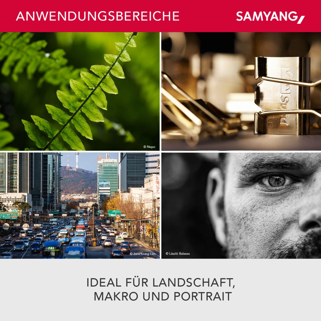 MF 100mm F2.8 Macro per Sony E - Teleobiettivo macro per Sony E, adatto per APS-C e full frame, messa a fuoco manuale, per Sony E - A6100, A6400, A6600, A6500, A1, A7S III, A7C II A7C R